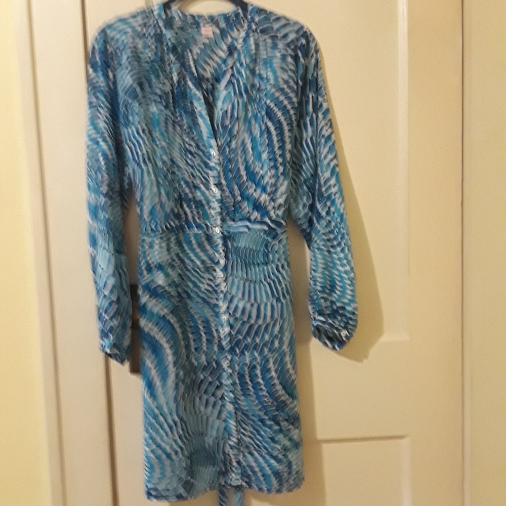 Anita Sheer Tunic or Swim Cover-up.